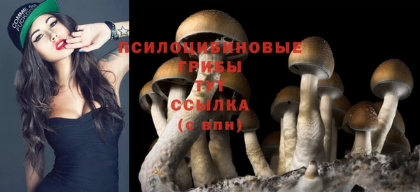 прущая мука Строитель