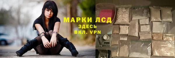 сатива Ступино