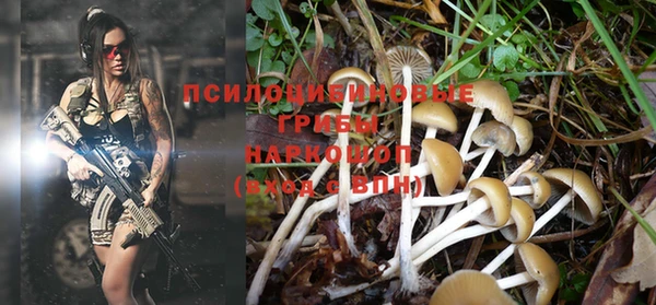 ГАЛЛЮЦИНОГЕННЫЕ ГРИБЫ Струнино